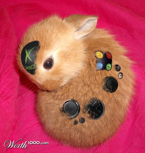 Photoshop Design by Limited Edition