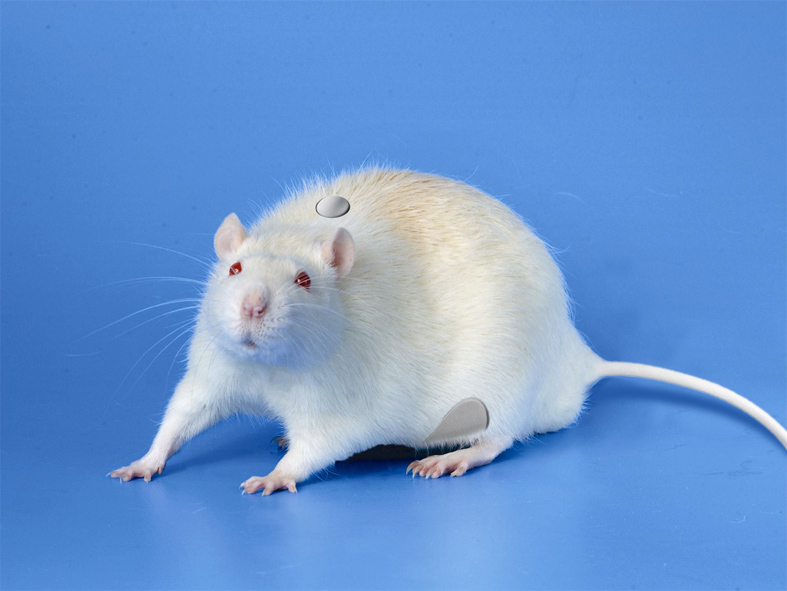 Photoshop Design by MarindH for DesignCrowd (Community Contests) | Design #9017352