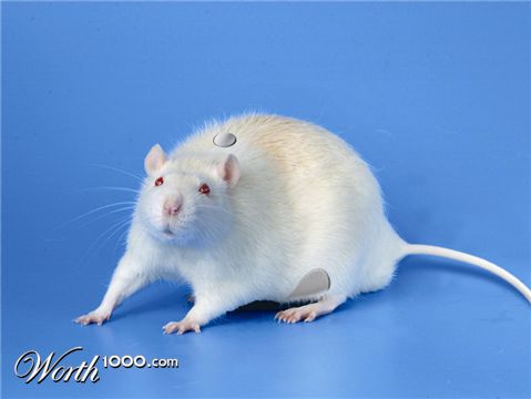 Photoshop Design by MarindH