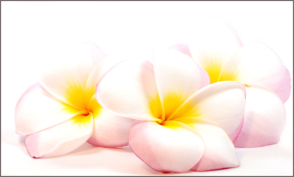 Fotografía por gymp93 para DesignCrowd (Community Contests) | Diseño #9028507