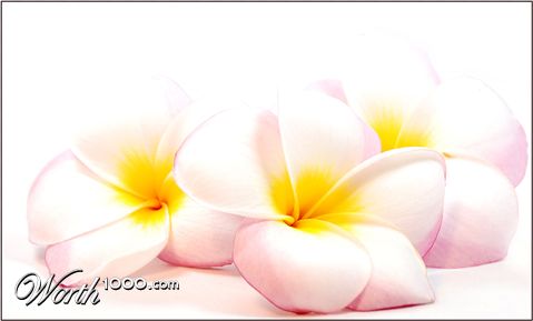 Photography by gymp93