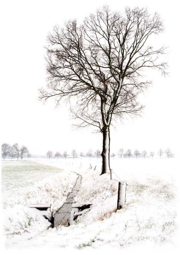 Photography by Marian for DesignCrowd (Community Contests) | Design #9028439