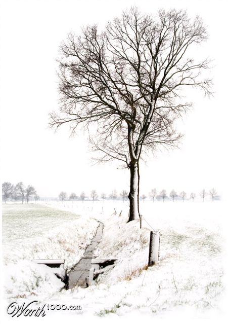 Photography by Marian