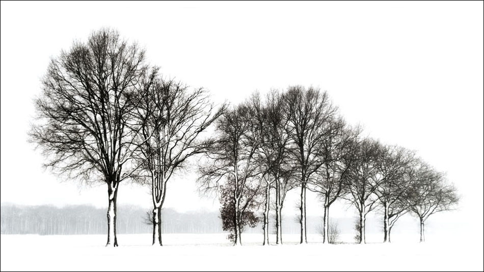 Photography by Marian for DesignCrowd (Community Contests) | Design #9027366