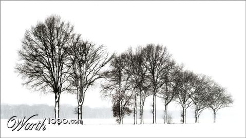 Photography by Marian