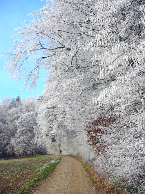 Fotografía por eddie73 para DesignCrowd (Community Contests) | Diseño #9027384