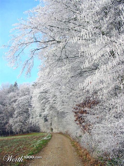 Photography by eddie73