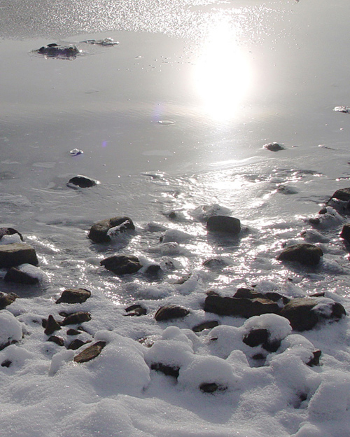 Photography by ljvgtj for DesignCrowd (Community Contests) | Design #9027401