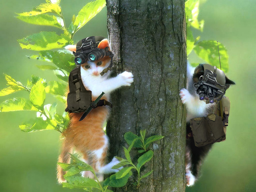 Photoshop Design by hechtal for DesignCrowd (Community Contests) | Design #9017372