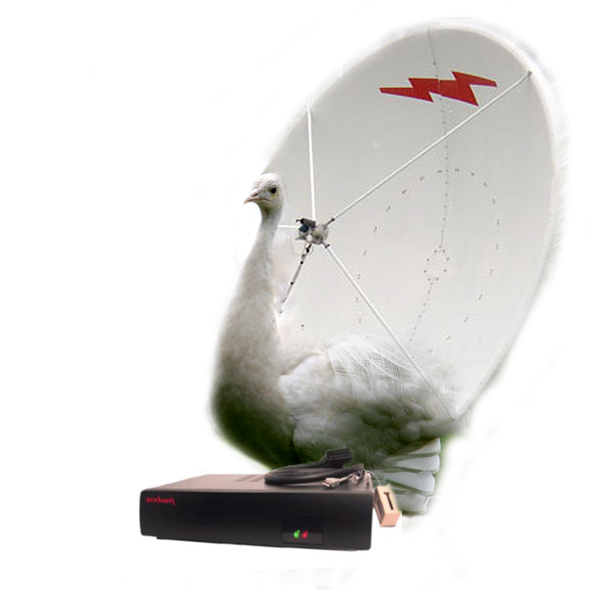 Design Photoshop par nikles007 pour DesignCrowd (Community Contests) | Design #9017387