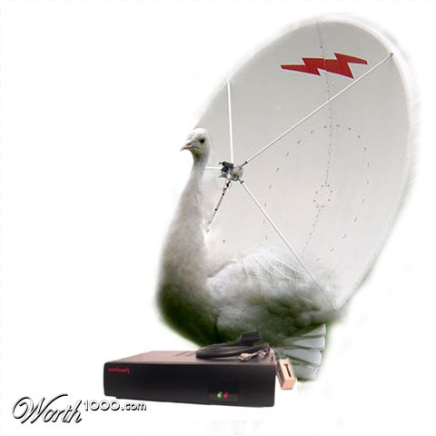 Photoshop Design by nikles007