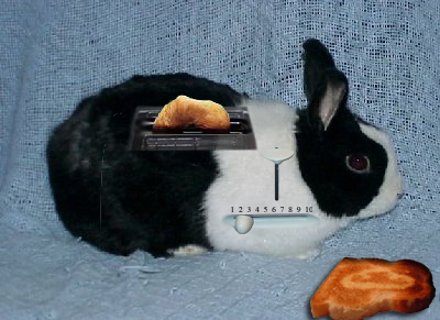 Photoshop Design by NothingsNowhere for DesignCrowd (Community Contests) | Design #9017376