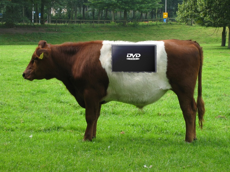 Photoshop Design by Mossfoot for DesignCrowd (Community Contests) | Design #9017384