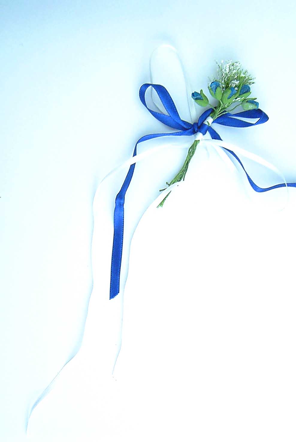 Photography by poisonyvy for DesignCrowd (Community Contests) | Design #9028573