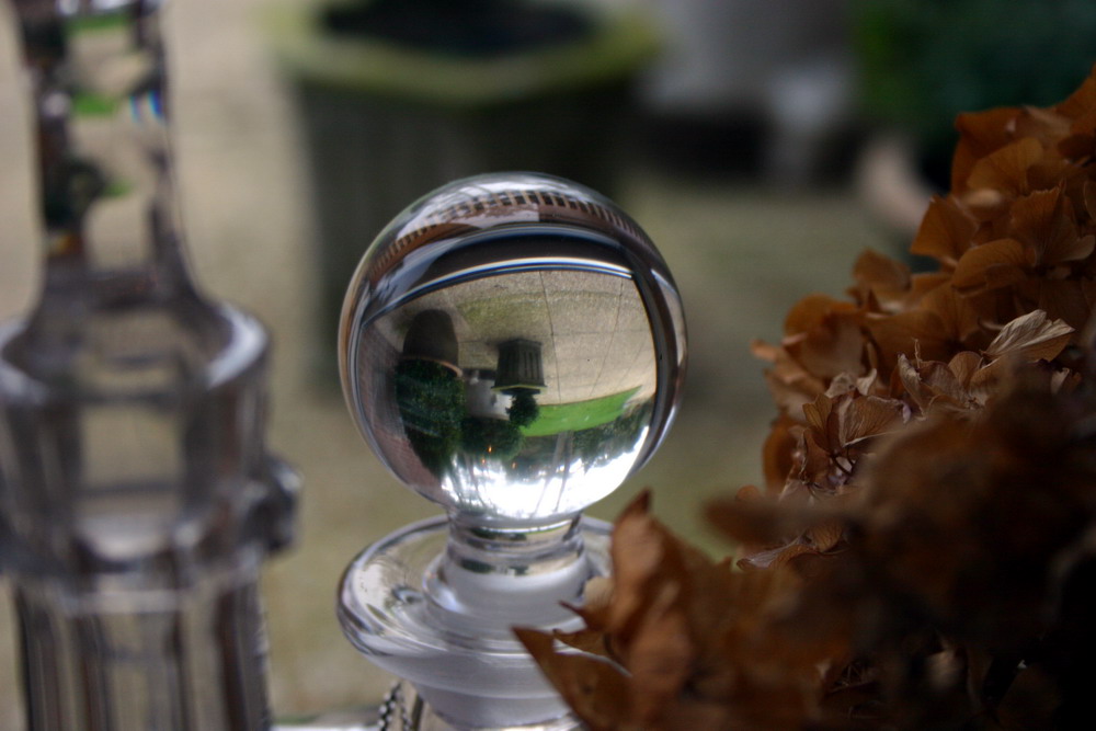 Photography by JillianRed for DesignCrowd (Community Contests) | Design #9023911