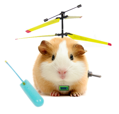 Design Photoshop par debellez pour DesignCrowd (Community Contests) | Design #9017390