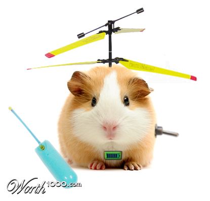 Photoshop Design by debellez