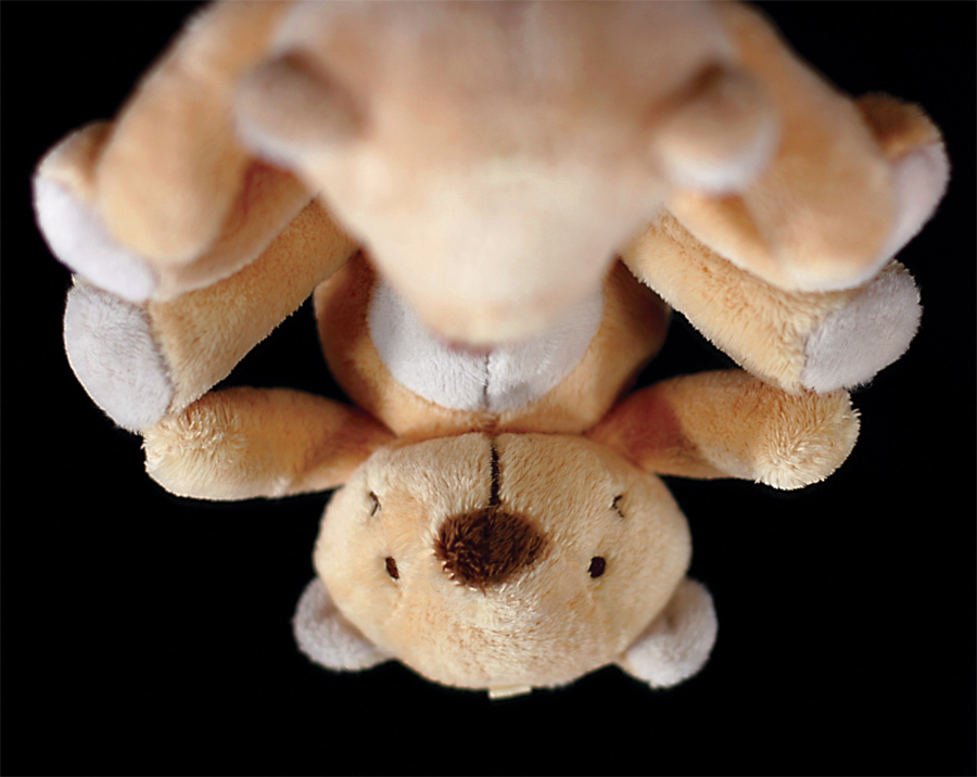 Photography by fatheroftwo for DesignCrowd (Community Contests) | Design #9023932