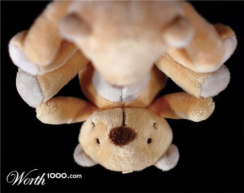 Photography by fatheroftwo