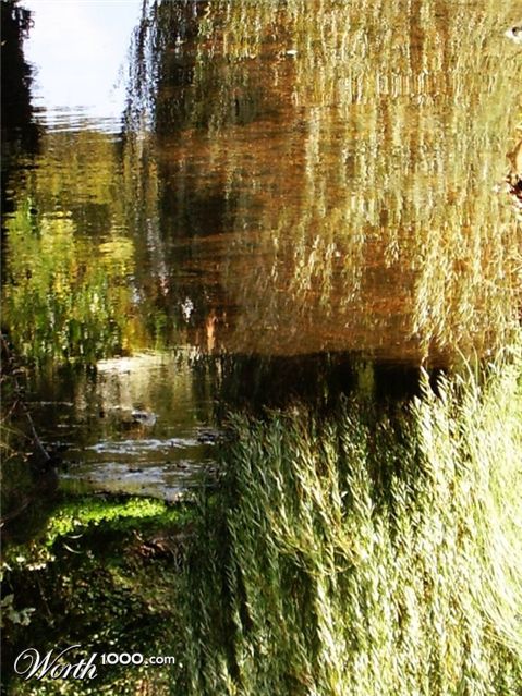 Photography by allboutme