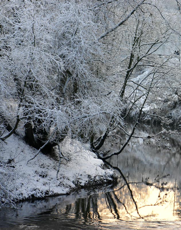 Photography by DurhamTyke for DesignCrowd (Community Contests) | Design #9027501