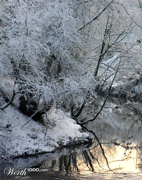 Photography by DurhamTyke