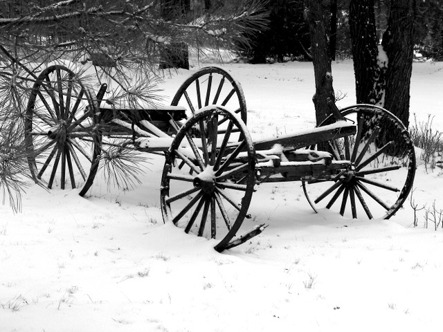 Photography by Marinemom for DesignCrowd (Community Contests) | Design #9027511