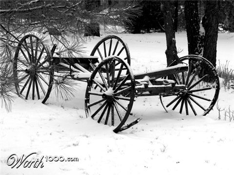 Photography by Marinemom