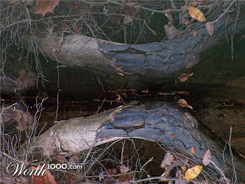 Photography by pixel8r