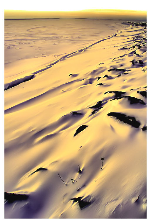Fotografie von JohnFishditch für DesignCrowd (Community Contests) | Design #9027577