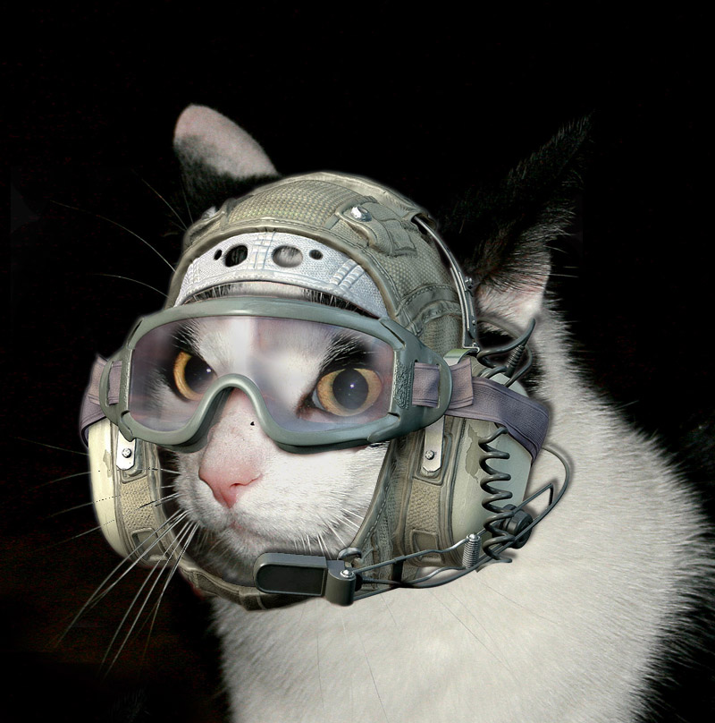 Photoshop Design by maartmo for DesignCrowd (Community Contests) | Design #9023246