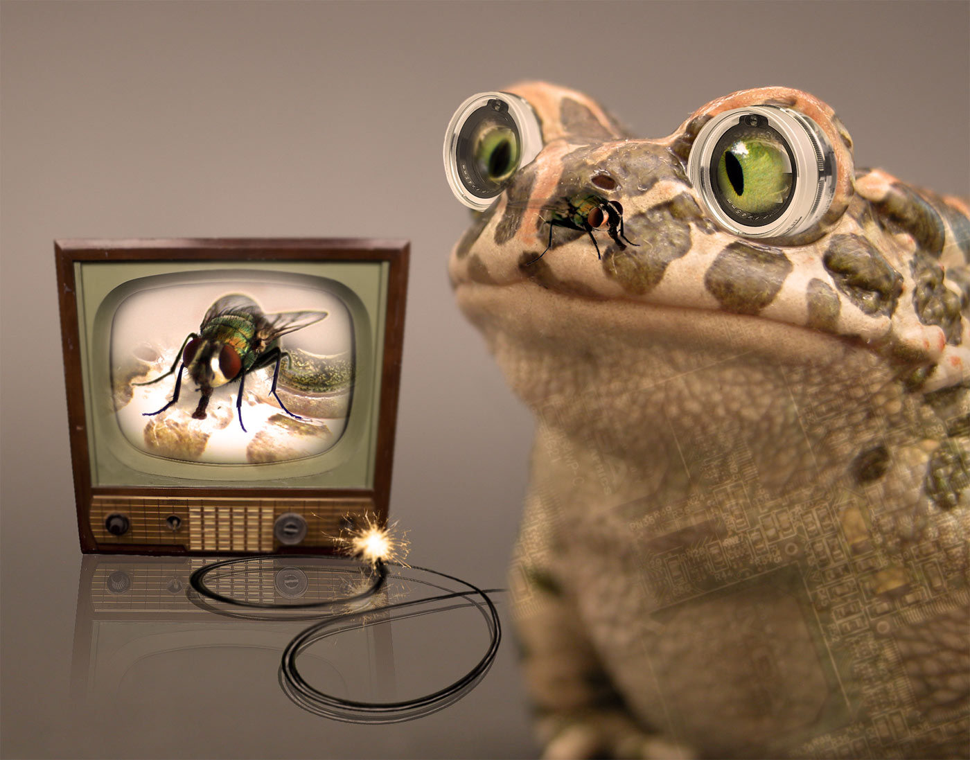 Photoshop Design by CMIman for DesignCrowd (Community Contests) | Design #9017438