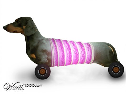 Photoshop Design by negromo