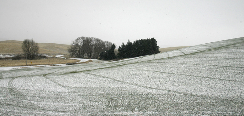 Photographie par rdchdwck pour DesignCrowd (Community Contests) | Design #9027450