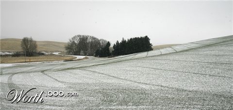 Photography by rdchdwck