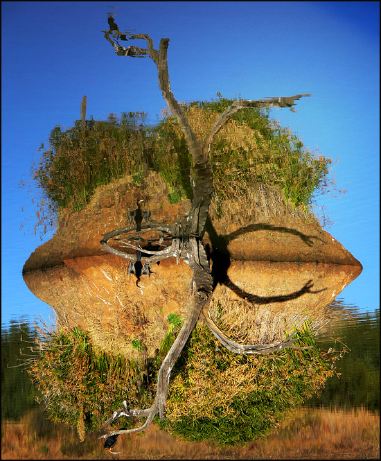 Fotografie von droomluiperd für DesignCrowd (Community Contests) | Design #9023984