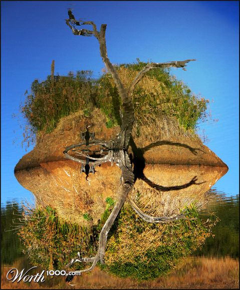 Photography by droomluiperd