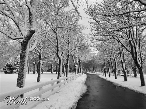 Photography by KarenC