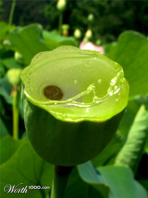 Photography by slimjewel1