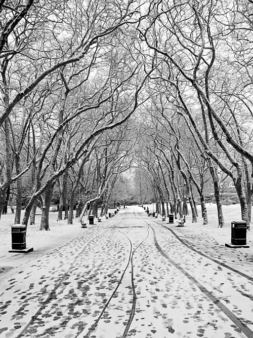 Photography by Craigr1978 for DesignCrowd (Community Contests) | Design #9027488