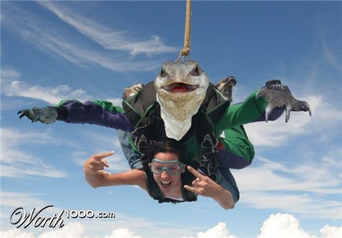 Photoshop Design by Fishwife