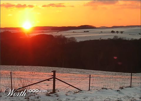 Photography by wiebeiw