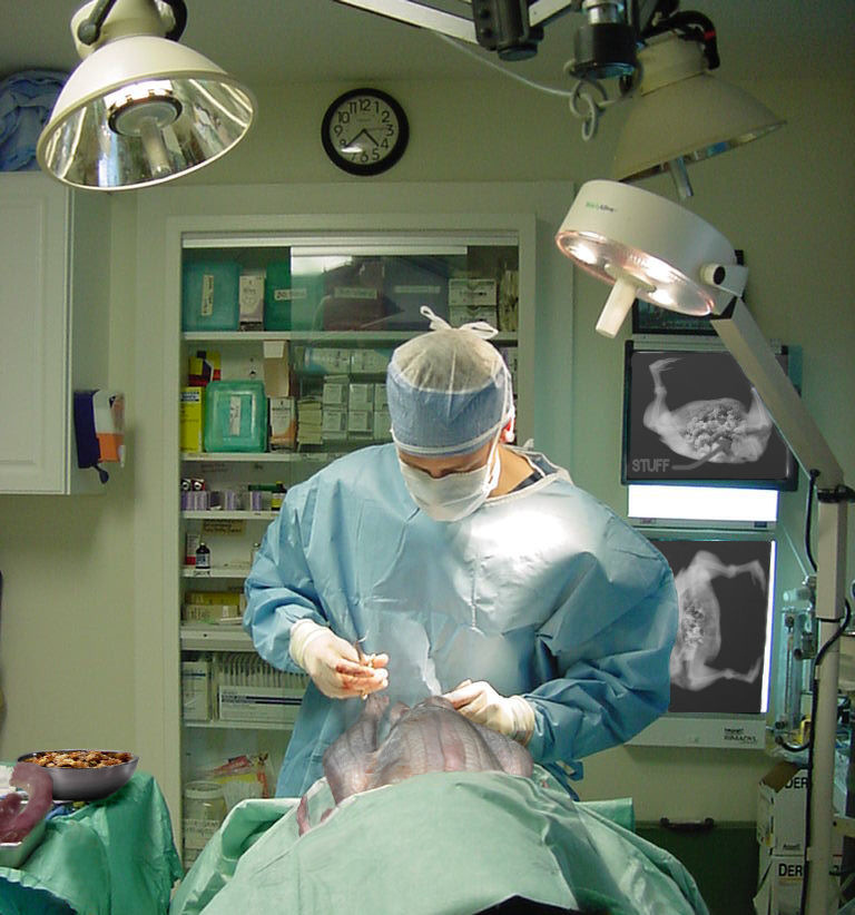 Photoshop-Design von Hobbit90 für DesignCrowd (Community Contests) | Design #9023289