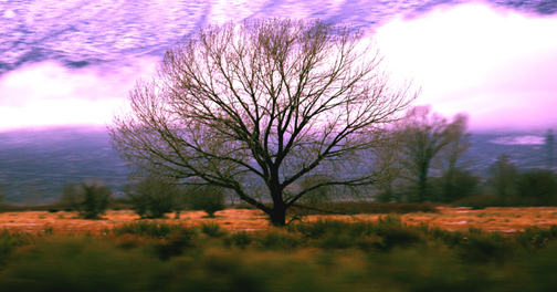 Photographie par P37R0V pour DesignCrowd (Community Contests) | Design #9027570