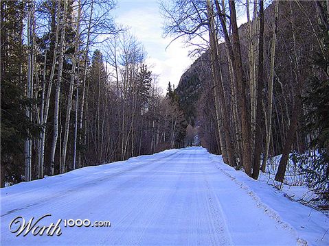 Photography by cshutt