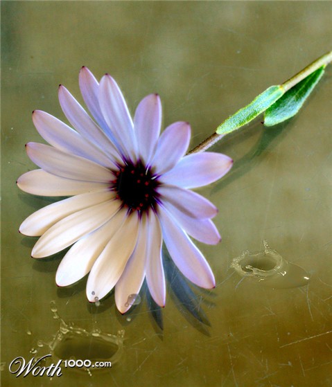 Photography by Tonebarge