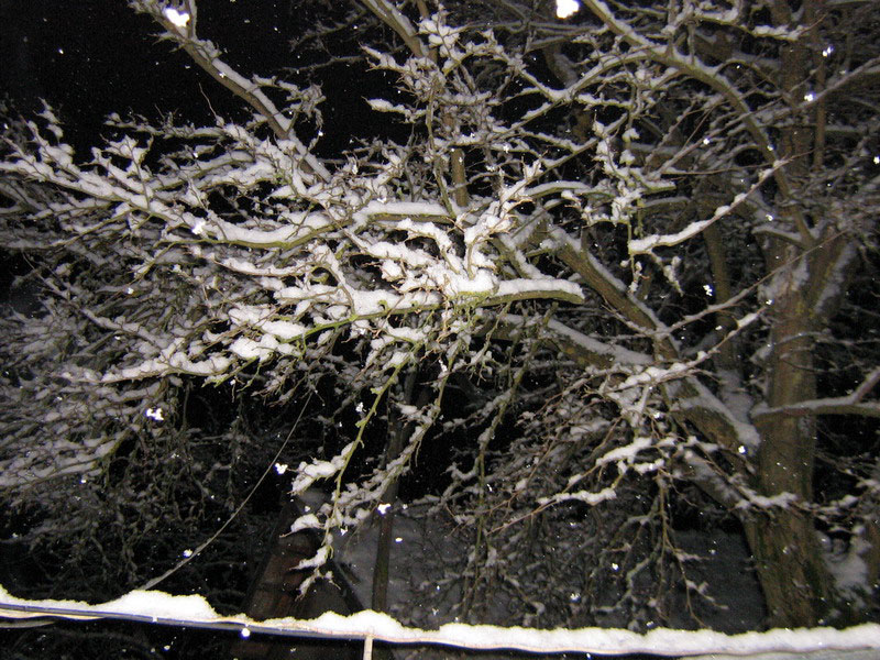 Photography by Maverick900407 for DesignCrowd (Community Contests) | Design #9027568