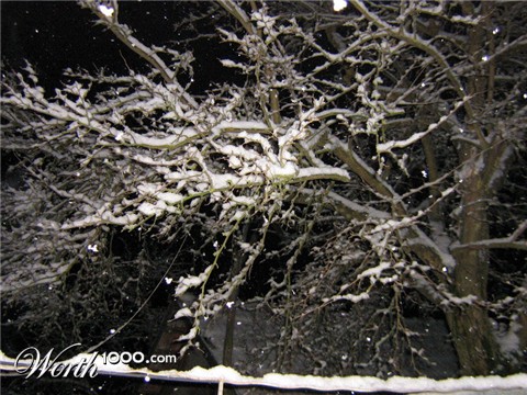 Photography by Maverick900407