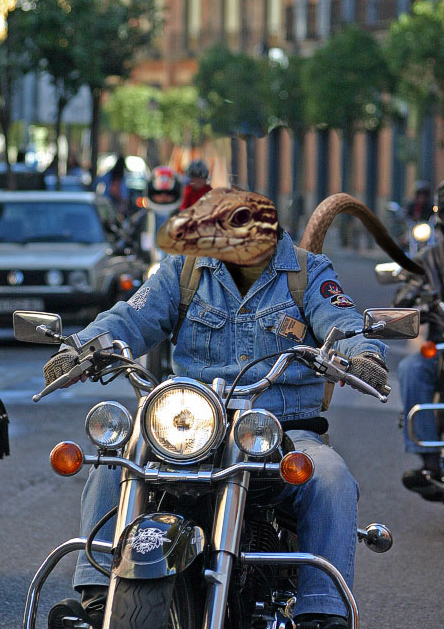 Photoshop Design by machacasaurio for DesignCrowd (Community Contests) | Design #9016135