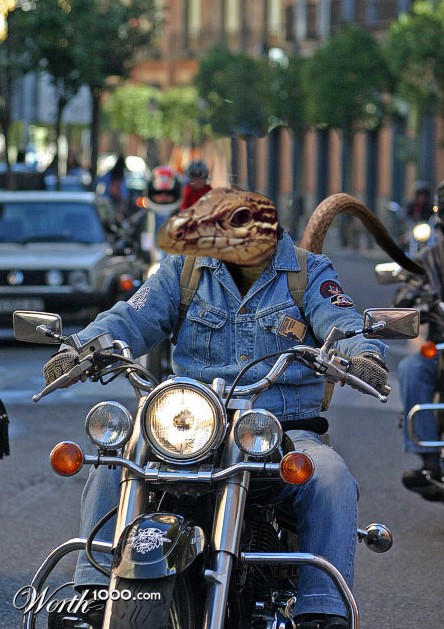 Photoshop Design by machacasaurio